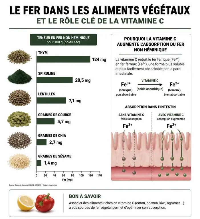 Infographie sur les aliments végétaux riches en fer et l'optimisation de l'absorption