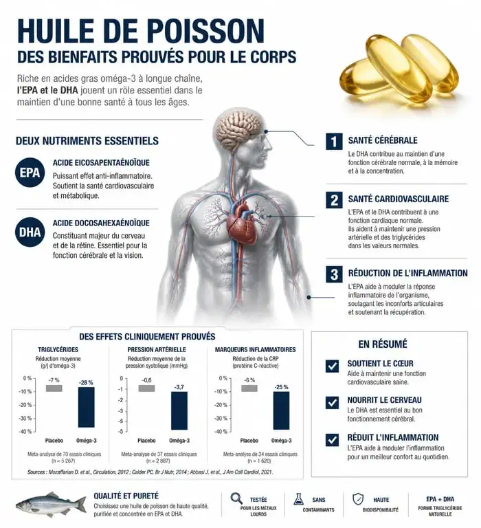 Infographie sur les bienfaits de l'huile de poisson pour la santé cardiovasculaire et cérébrale