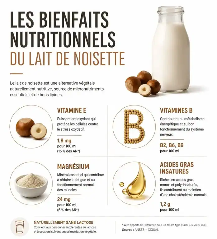Infographie sur les bienfaits du lait de noisette pour la santé et sa composition nutritionnelle