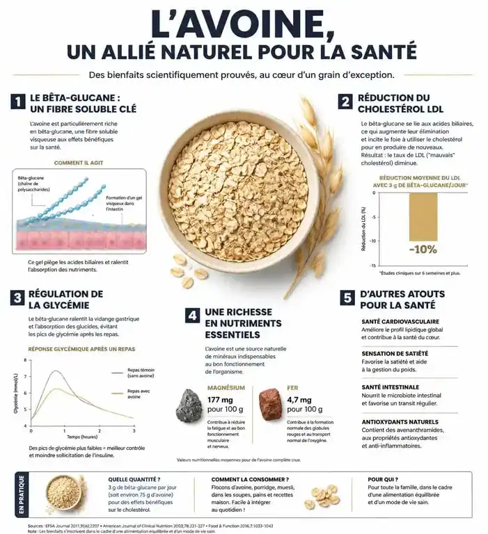 Infographie des bienfaits de l'avoine pour la santé et ses propriétés nutritionnelles