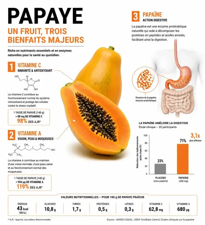 Infographie résumant les bienfaits santé et les apports nutritionnels de la papaye