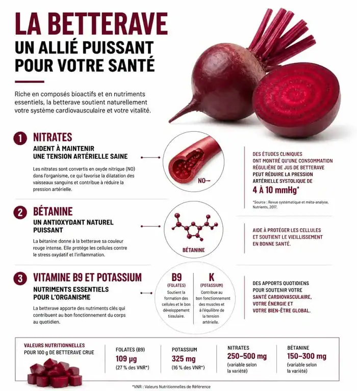 Infographie illustrant les bienfaits de la betterave pour la santé cardiovasculaire et nutritionnelle
